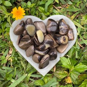 (2) Tumbled Septarian Stones